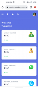 How does Twinlinkpanel Work | How to Earn Money on Twinlinkpanel.com