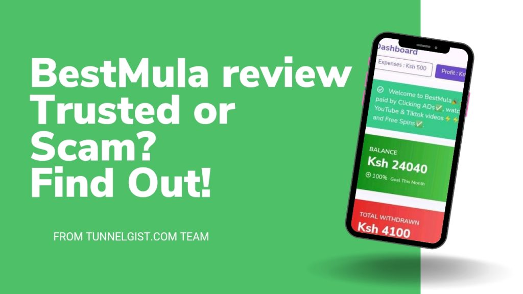Bestmula.com Review | Is BestMula Legit or Scam?