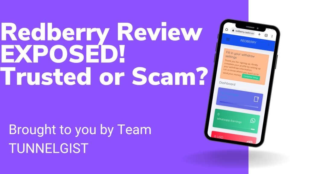 Redberry.cash Review | Is Redberry.cash Legit or Scam