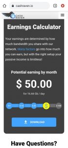 How does Cash Raven Work | How to Earn Money on Cash Raven