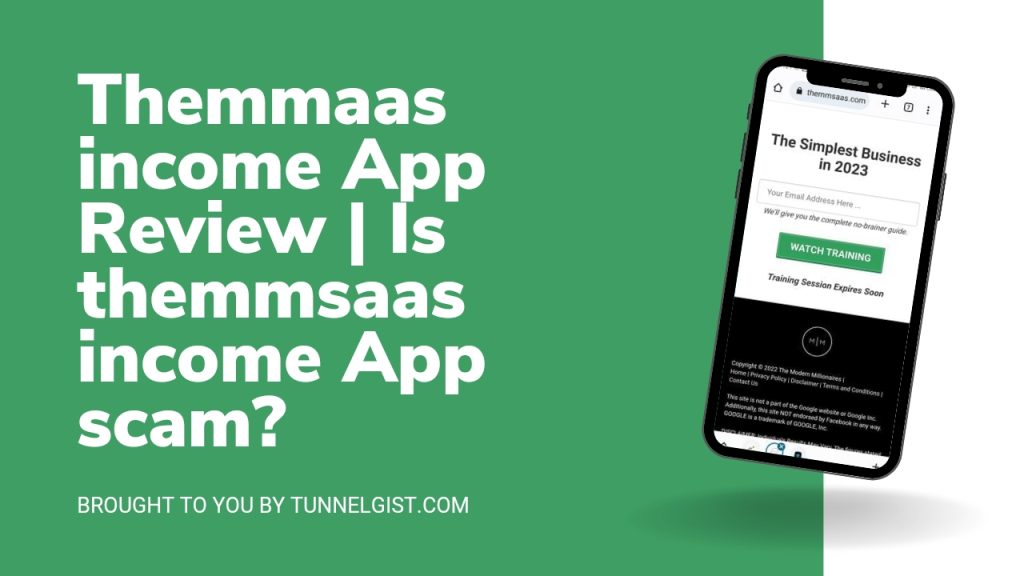 themmsaas income App scam