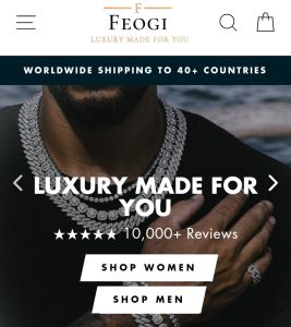About Feogi.com – A History of Feogi