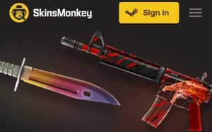 Requirements Needed to Trade on SkinsMonkey